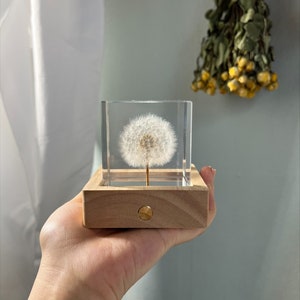 Real Dandelion Seeds 6cm Cube Epoxy resin Nightlight Personalized Birthdays Floral Gifts White Flower Gifts for wife for her