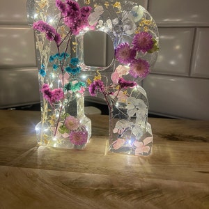 Custom 7 Inch Resin Letter with Dried Flowers | Personalized Initial | Shelf Decor |Housewarming | Birthday | Gift for Her | Bride