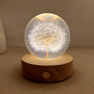Dried Dandelion Night Light, Real Flower Night Lamp, Preserved Floral Resin Art Lamp, Dandelion Bedside Lamp, Personalized Birthday Gift