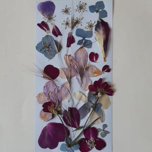 Dried pressed flowers and leaves for resin,wedding card making,flower arrangement,flowers for floral arrangements,flowers for jewelry